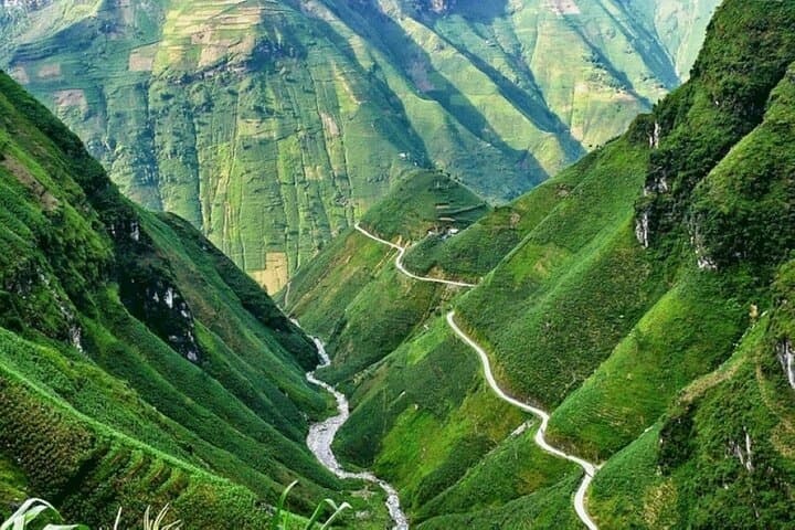 Ha Giang Loop: 4-Day Cultural Escape to Vietnam's Limestone Highlands