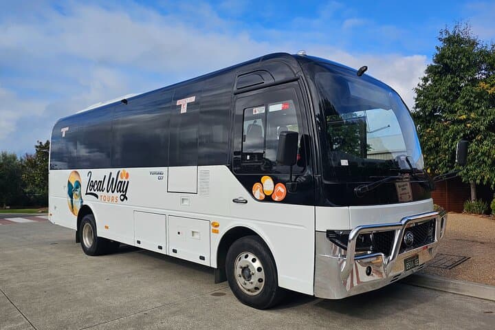 Great Ocean Road Small-Group Tour: 12 Apostles, Dingos & Lunch from Melbourne photo 5
