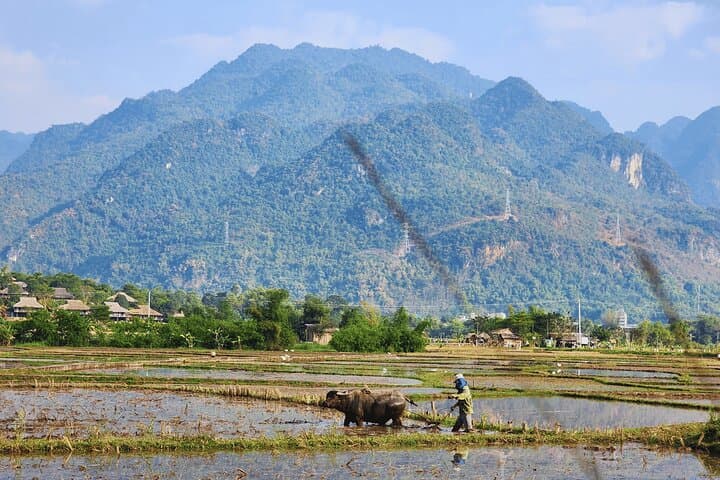 Mai Chau Full-Day Cycling and Handcraft Workshop from Hanoi