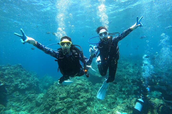 Blue Cave Private Diving Tour at Maeda Cape — Introductory Snorkel & Dive in Okinawa photo 5