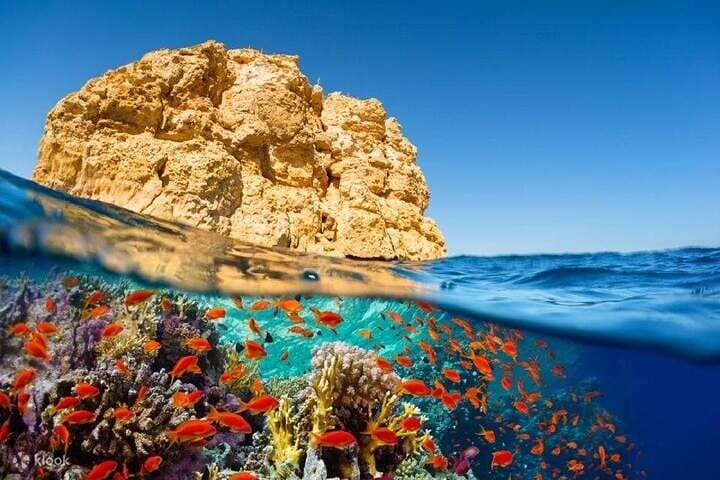 White Island & Ras Mohammed Boat Trip — Snorkel the Red Sea's Best Reefs photo 5