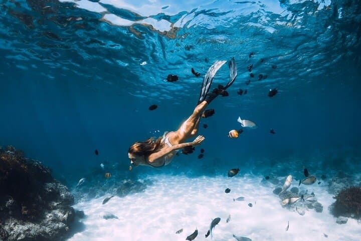 White Island & Ras Mohammed Boat Trip — Snorkel the Red Sea's Best Reefs photo 6