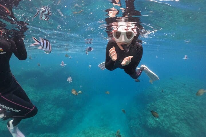 Blue Cave Snorkeling Tour — Okinawa's Luminous Sea Experience photo 5