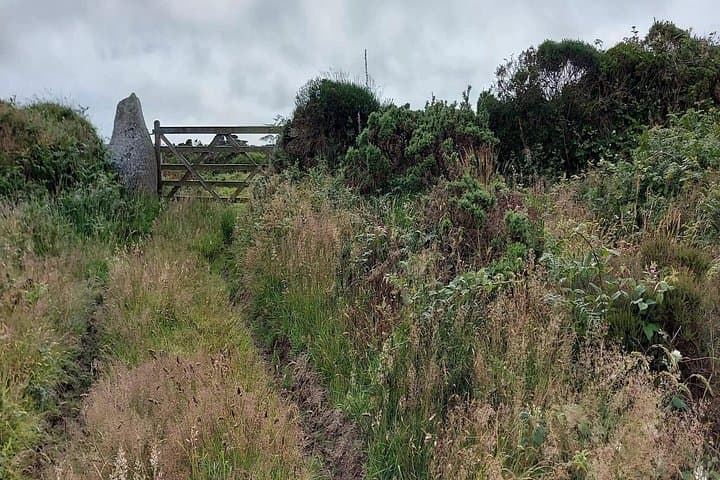 Stones of Tregeseal: Self-Guided Audio Walk Through West Cornwall’s Bronze Age Sites photo 4