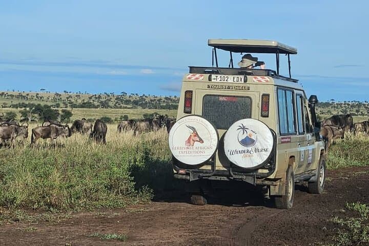 Ndutu Calving Safari: 4-Day Fly-In to Witness the Great Migration’s New Beginnings