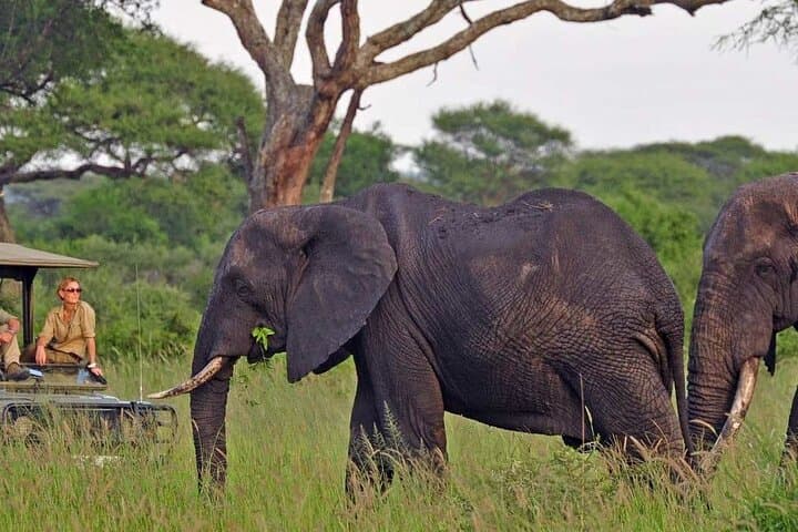 4-Day Camping Safari: Tarangire, Serengeti & Ngorongoro Crater photo 4