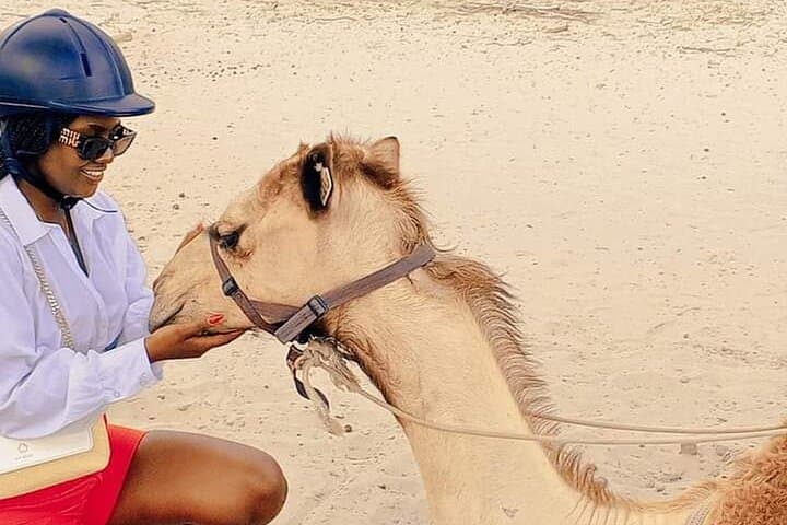 Botswana Camel Safari in Maun: 1‑Hour Guided Camel Ride & Cultural Encounter photo 3