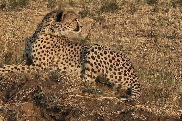 5-Day Migration Safari: Mara River Crossings in Northern Serengeti