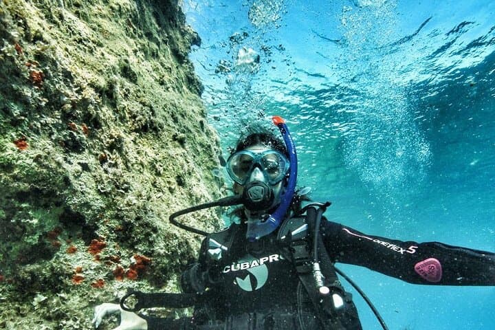 Twin-Tank Guided Dives off Pounda, Paros — Explore Aegean Reefs and Caves photo 3