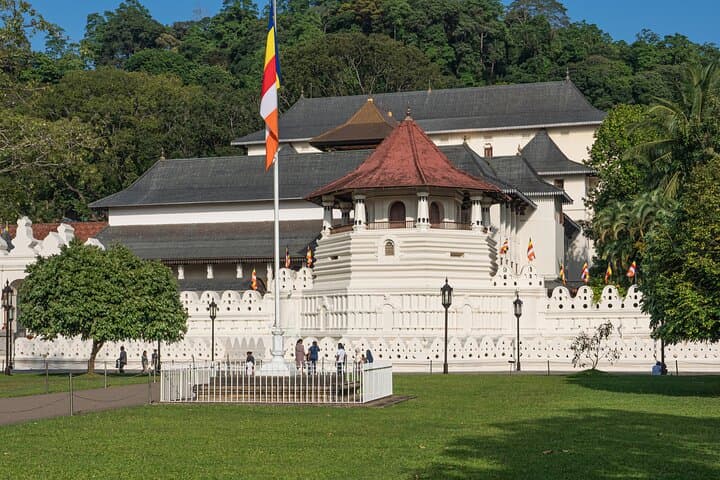 Best of Sri Lanka: 7-Day All-Inclusive Cultural & Wildlife Tour