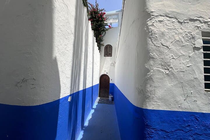 Tangier and Asilah Day Tour with Camel Ride — Medina, Kasbah & Coastal Drive photo 1
