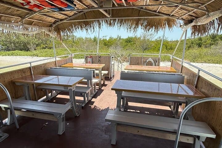 Clearwater Beach Tiki Getaway Cruise BYOB — Dolphin & Sunset BYOB Tour photo 4
