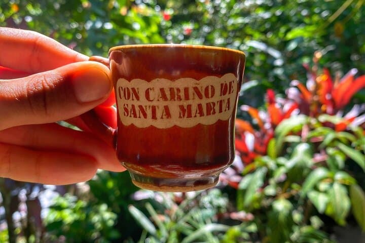 Roots of the Sierra: Minca Day Hike, Coffee & Waterfalls in the Sierra Nevada photo 3