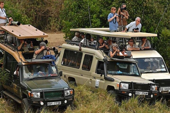 6-Day Nairobi Safari: Samburu, Lake Nakuru & Masai Mara Wildlife Adventure photo 4