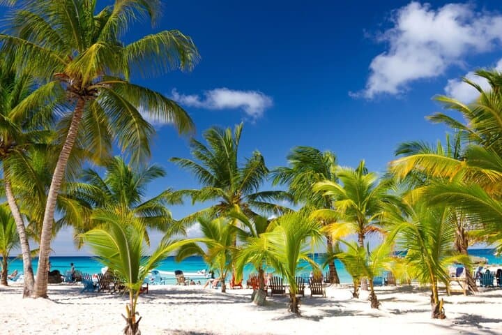 Day Trip to Saona Island: Pristine Beaches, Snorkeling & Natural Pool