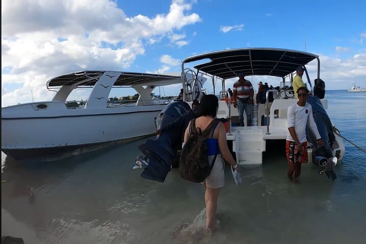 Day Trip to Saona Island: Pristine Beaches, Snorkeling & Natural Pool photo 4