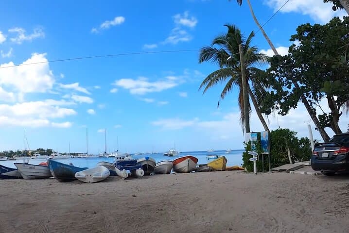 Day Trip to Saona Island: Pristine Beaches, Snorkeling & Natural Pool photo 5