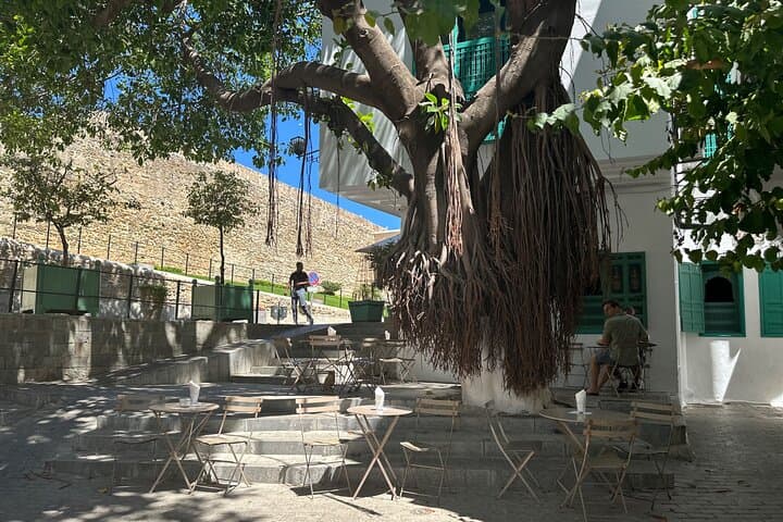 Private Half-Day Tangier Tour: Medina, Kasbah & Cape Spartel photo 5