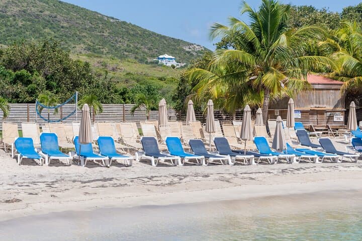 Cockleshell Beach Snorkel Excursion — Frigate Bay Views & Nevis Vistas photo 3