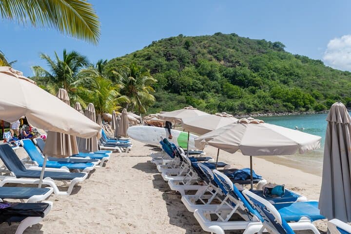 Cockleshell Beach Snorkel Excursion — Frigate Bay Views & Nevis Vistas photo 6