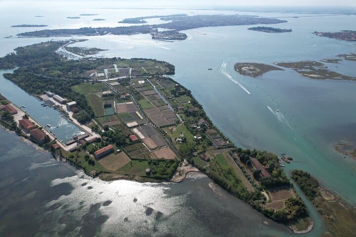 Winemaker for a Day in Venice: Hands-On Dorona Vineyard Experience in the Lagoon photo 2