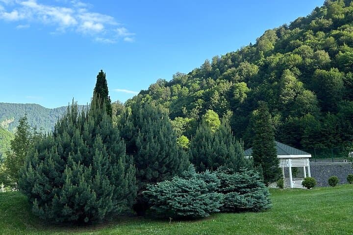 Day Trip from Baku: Gabala, Shamakhi, Tufandag, Nohur Lake & Seven Beauties Waterfall photo 5