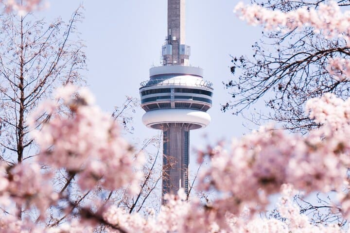 Private Toronto City Tour with CN Tower, Waterfront Cruise & St. Lawrence Market photo 4
