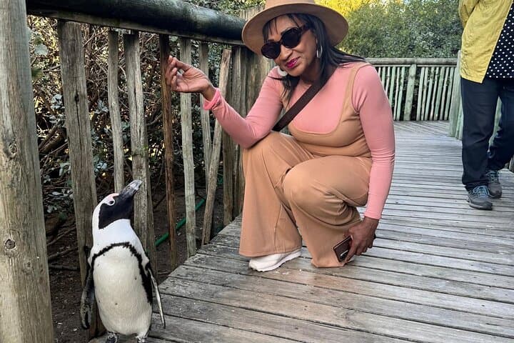 Pre-Booked Tickets to Table Mountain, Boulders Beach & Cape Point — Cape Town Day Experience