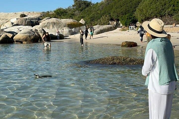Pre-Booked Tickets to Table Mountain, Boulders Beach & Cape Point — Cape Town Day Experience photo 4