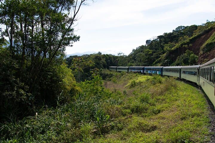 Ilha do Mel Day Trip from Curitiba: Island of Honey with Train Return photo 2