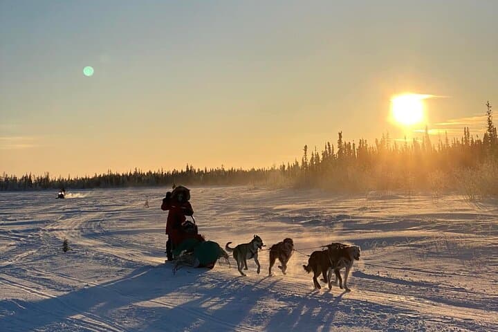 Traditional Dog Sledding in Yellowknife: Dene Culture & Bannock Experience photo 6