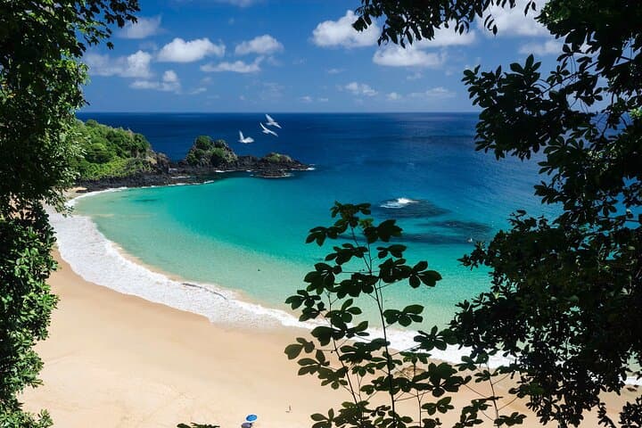 Fernando de Noronha Boat & Snorkel Tour — Sancho Beach, Dolphins & Pedra do Leão photo 3