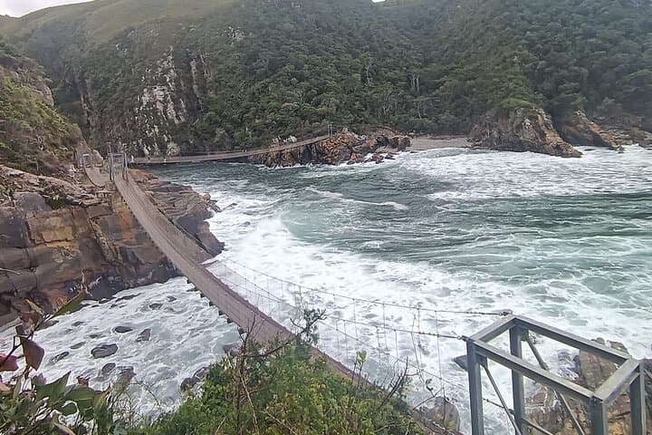 2-Day Tsitsikamma Adventure: Storms River Suspension Bridge, Canopy & Jeffreys Bay