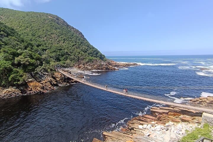 2-Day Tsitsikamma Adventure: Storms River Suspension Bridge, Canopy & Jeffreys Bay photo 2