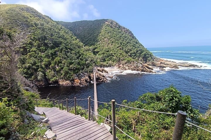 2-Day Tsitsikamma Adventure: Storms River Suspension Bridge, Canopy & Jeffreys Bay photo 3