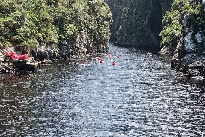 2-Day Tsitsikamma Adventure: Storms River Suspension Bridge, Canopy & Jeffreys Bay photo 5