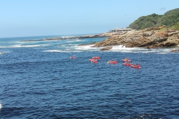 2-Day Tsitsikamma Adventure: Storms River Suspension Bridge, Canopy & Jeffreys Bay photo 6