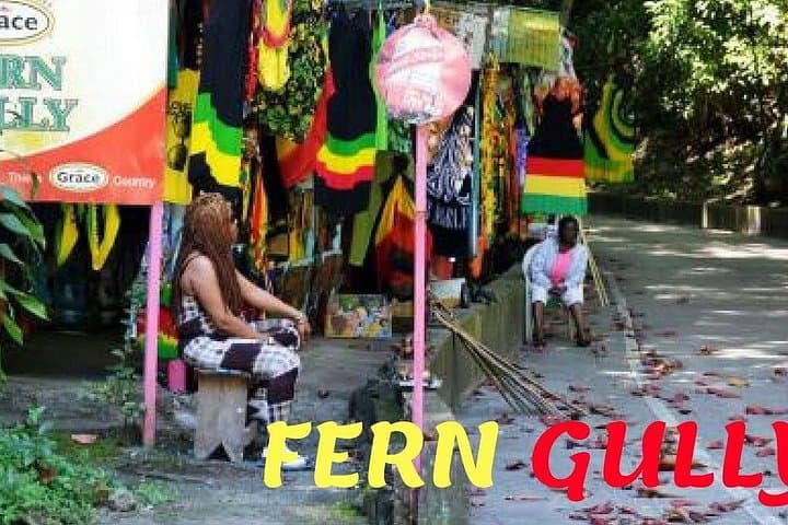 Climb Dunn's River Falls & Drive Fern Gully: Ocho Rios Waterfall Adventure photo 4
