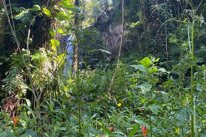 Full-Day Private Maui Tour: Hidden Beaches, Waterfalls & Snorkeling photo 3
