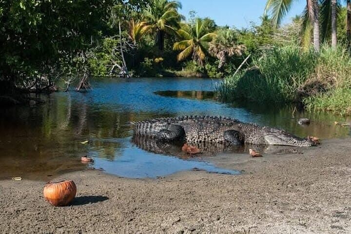 Emerald Coast Adventure: Ventanilla, Mazunte & Zipolite from Huatulco photo 2