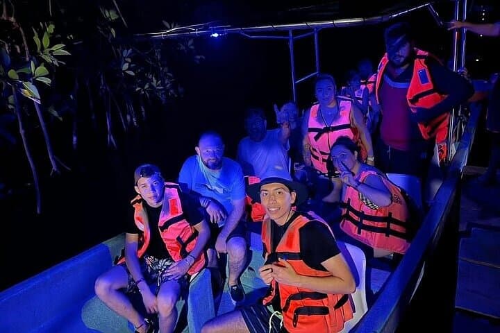 Turtle Release and Manialtepec Bioluminescence Tour in Puerto Escondido photo 4