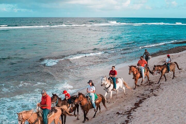 Horseback Riding to Macao and Uvero Alto Beaches — Punta Cana Coastal Trail Ride photo 2