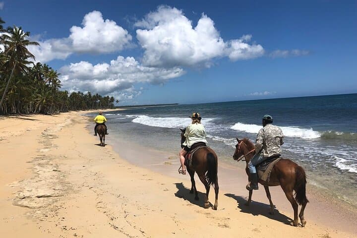 Horseback Riding to Macao and Uvero Alto Beaches — Punta Cana Coastal Trail Ride photo 4