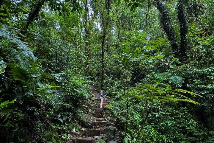 Blue Falls Hidden Waterfall Escape: Private All‑Inclusive Tour from San José photo 6