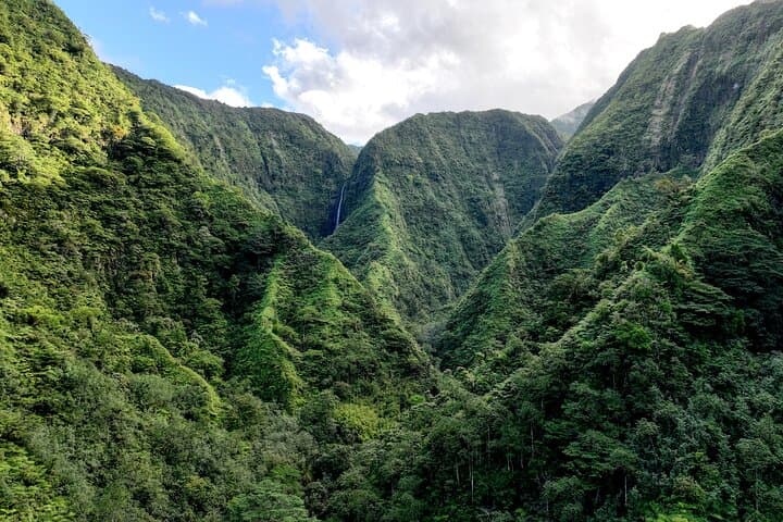 Hike the Polynesian Forests Sanctuary: Biodiversity Walk on Tahiti's West Coast photo 4