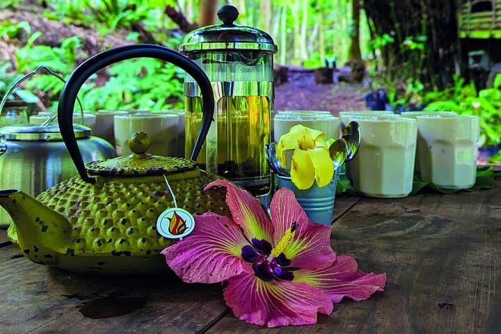 Hike the Polynesian Forests Sanctuary: Biodiversity Walk on Tahiti's West Coast photo 2