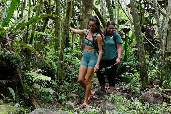 Hike the Polynesian Forests Sanctuary: Biodiversity Walk on Tahiti's West Coast photo 3