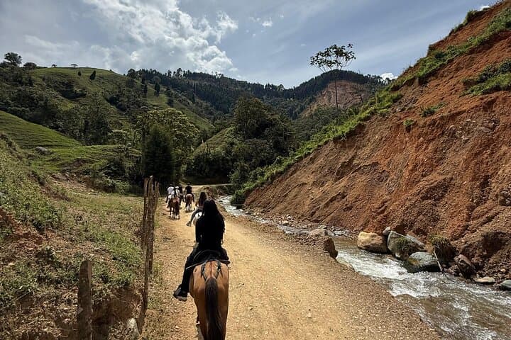 Horseback Riding from Medellín: Scenic Trails & Paisa Coffee Country photo 3