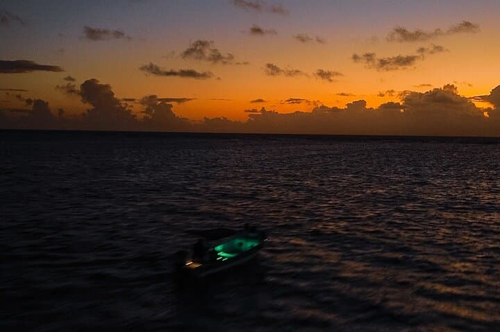Private Sunrise Boat to Cayo Acuario — San Andrés Early-Morning Tour photo 4