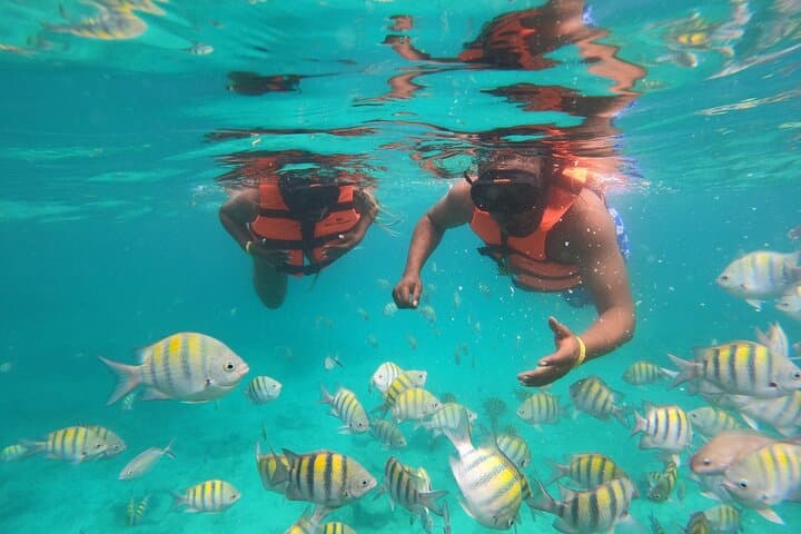 Underwater Scooter Adventure in Punta Cana — Scuba Doo with Snorkelling Gear photo 4